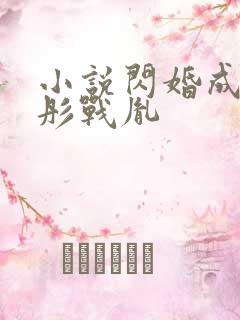 小说闪婚成宠海彤战胤