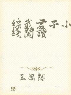 综武君子小说在线阅读