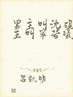 男主叫沈砚舟女主叫宁若曦的小说