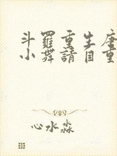 斗罗重生唐舞麟小舞请自重小说