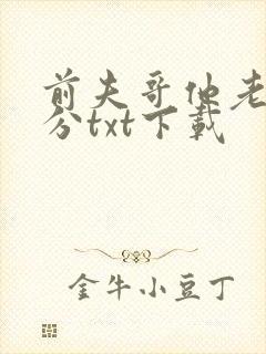 前夫哥他老实本分txt下载