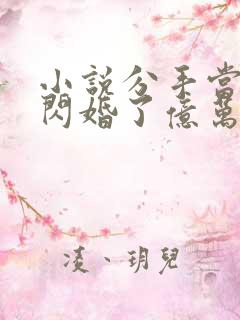 小说分手当天我闪婚了亿万富豪