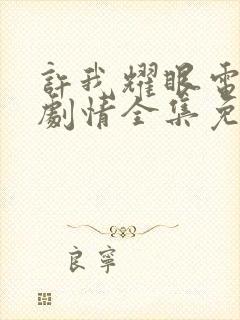 许我耀眼电视剧剧情全集免费观看下载