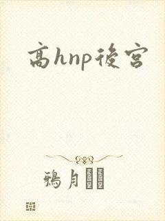 高hnp后宫