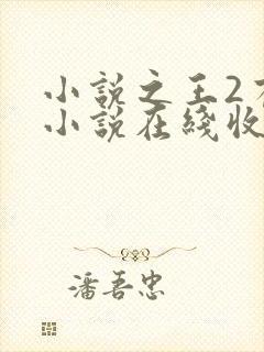 小说之王2有声小说在线收听