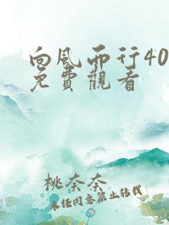 向风而行40集免费观看