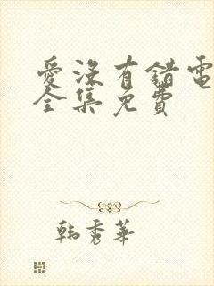 爱没有错电视剧全集免费