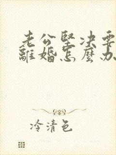 老公坚决要跟我离婚怎么办