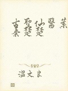 古圣仙医叶不凡秦楚楚