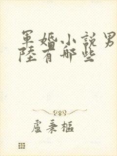 军婚小说男主姓陆有哪些