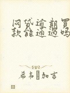 网贷逾期买车贷款能通过吗