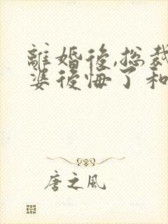 离婚后,总裁老婆后悔了和免费阅读