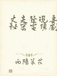 丈夫发现妻子的秘密电视剧