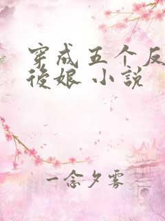 穿成五个反派的后娘 小说