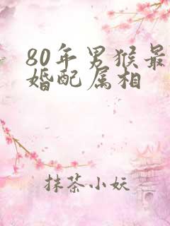 80年男猴最佳婚配属相