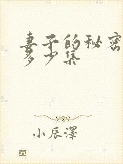 妻子的秘密一共多少集