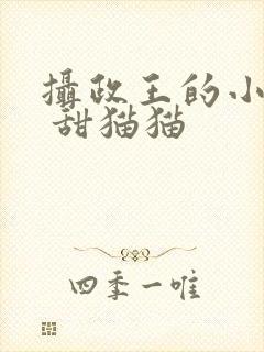 摄政王的小医妃 甜猫猫