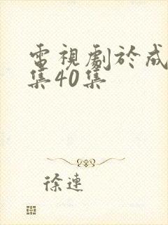 电视剧于成龙全集40集