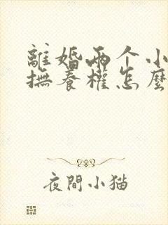 离婚两个小孩的抚养权怎么判