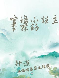 官场小说主角叫李霖的