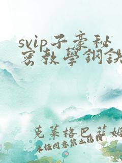 svip子豪秘密教学钢铁网下拉