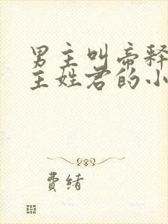 男主叫帝释天女主姓君的小说