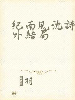 纪南风沈诗澜番外结局