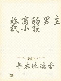 姓商的男主角总裁小说