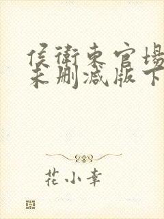 侯卫东官场笔记未删减版下载