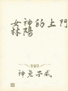 女神的上门贵婿林阳