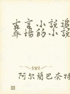 古言小说追妻火葬场的小说