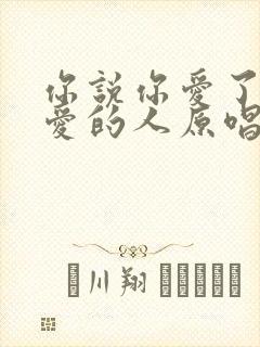 你说你爱了不该爱的人原唱完整版