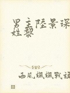 男主陆景琛女主姓黎