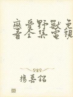 恋爱野兽免费观看全集电视剧高清