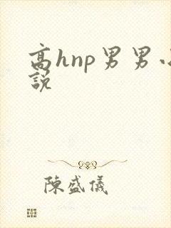 高hnp男男小说