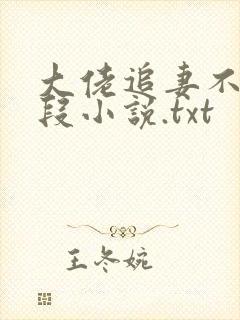 大佬追妻不择手段小说.txt