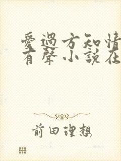 爱过方知情浓2有声小说在线收听