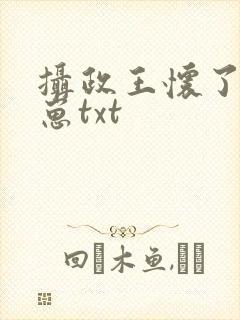 摄政王怀了朕的崽txt