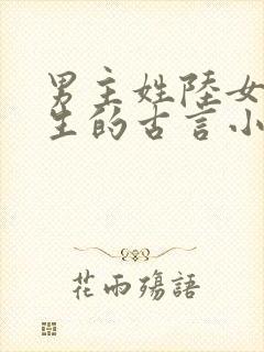 男主姓陆女主重生的古言小说