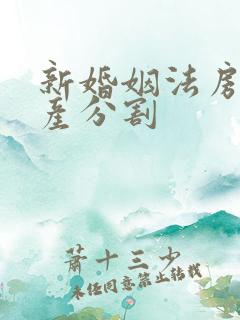 新婚姻法房子财产分割