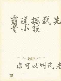 霸道总裁先婚后爱小说