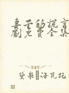 妻子的谎言电视剧免费全集