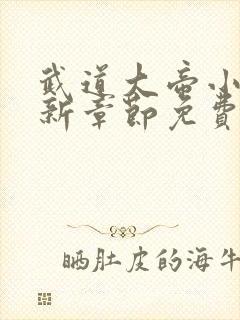 武道大帝小说最新章节免费阅读