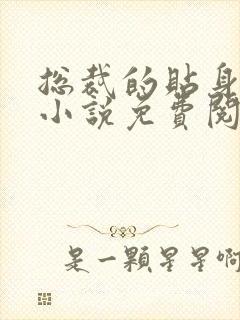 总裁的贴身保镖小说免费阅读全文