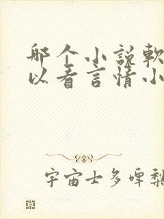 哪个小说软件可以看言情小说