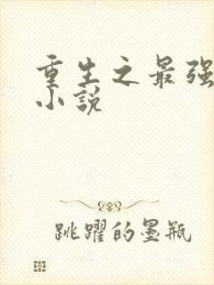 重生之最强弃少小说