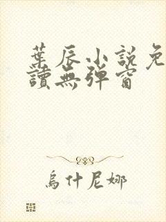 叶辰小说免费阅读无弹窗