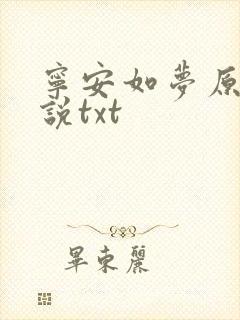 宁安如梦原著小说txt