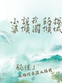 小说我的总裁老婆倾国倾城在线阅读