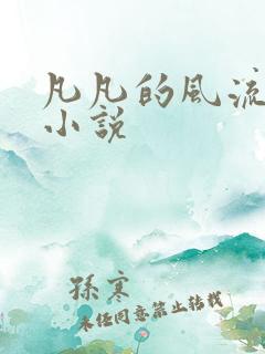 凡凡的风流人生小说